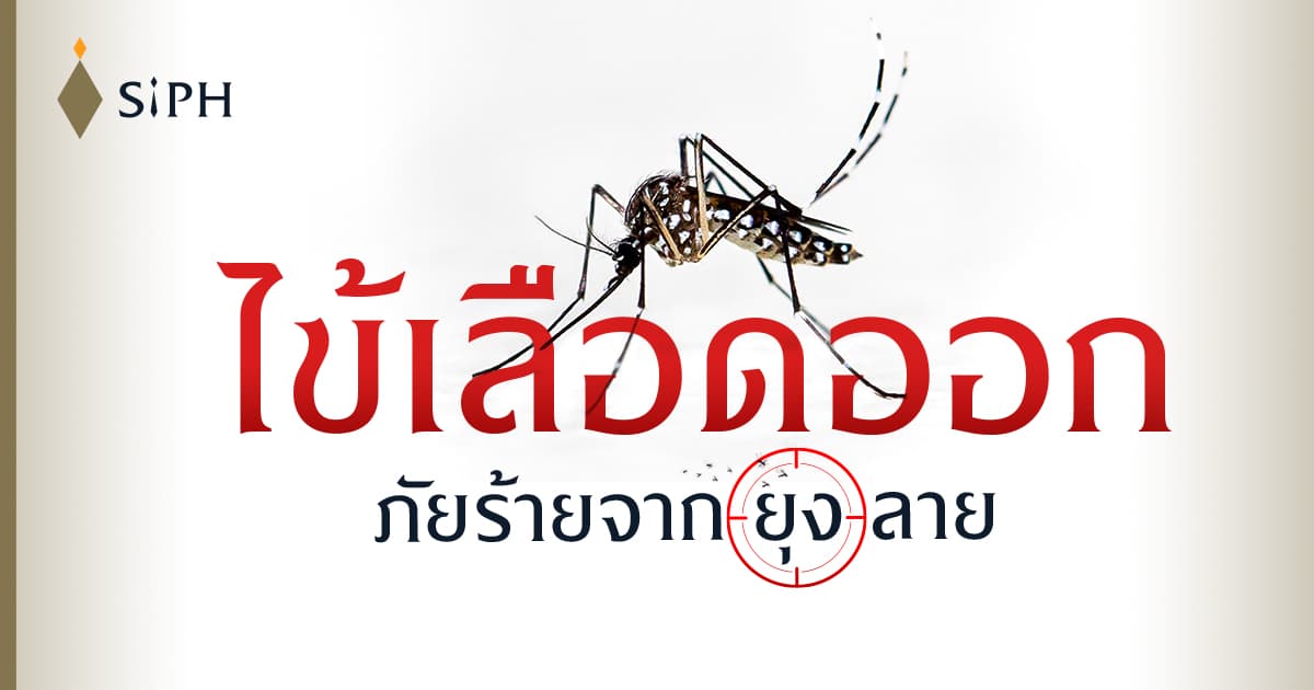  โรคไข้เลือดออก2
